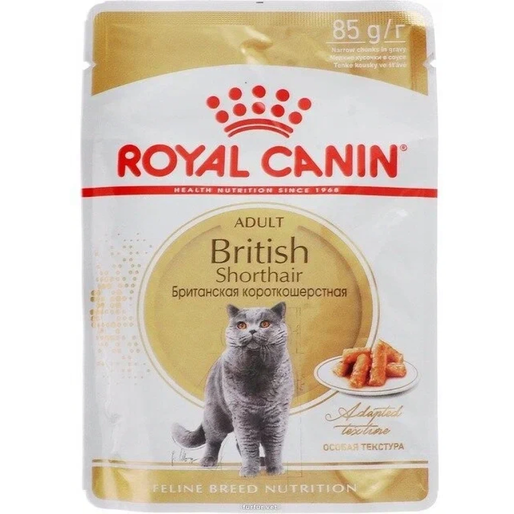 Royal canin british. Пауч 85гр Ройал Канин Британская короткошерстная (соус) 1257. Роял Канин для кошек British. Royal Canin для британских кошек. Royal Canin Британская короткошерстная.