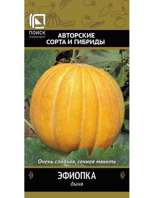 Дыня Эфиопка 15шт Поиск
