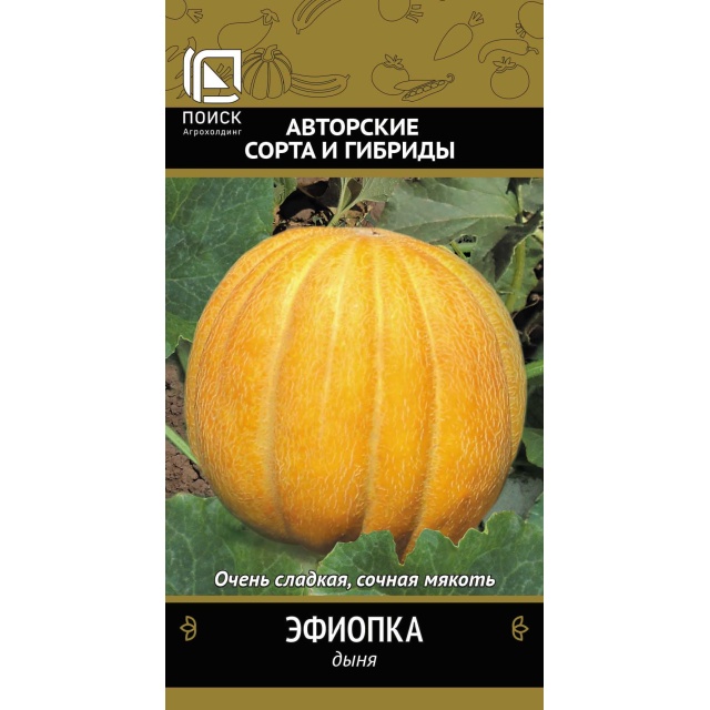 Дыня Эфиопка 15шт Поиск