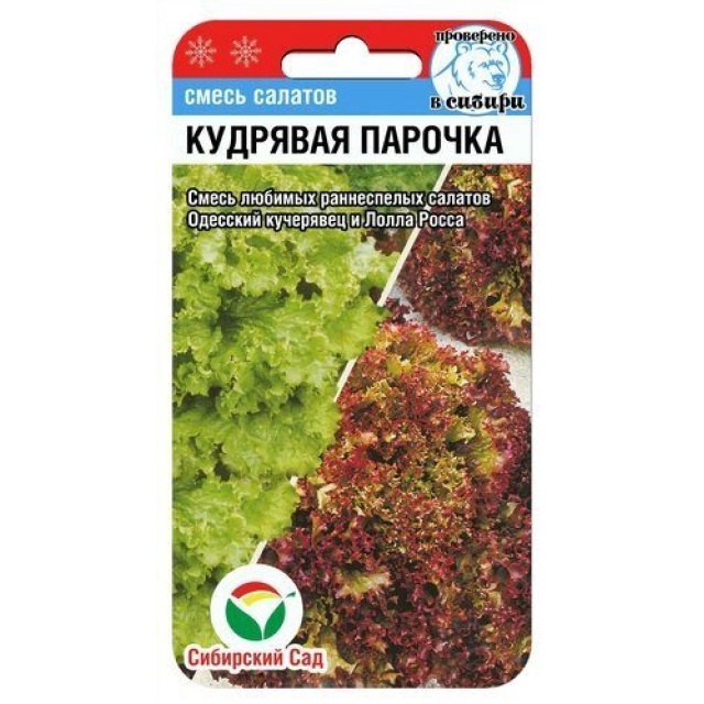 Салат Кудрявая парочка Сиб сад