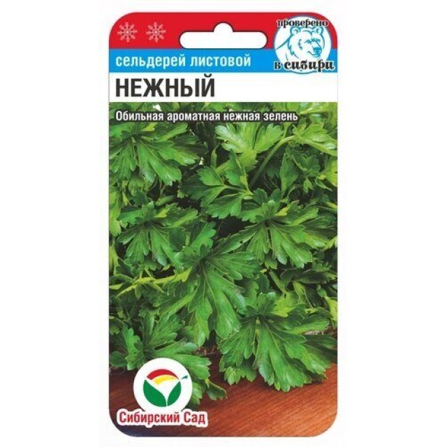 Сельдерей листовой Нежный Сиб сад